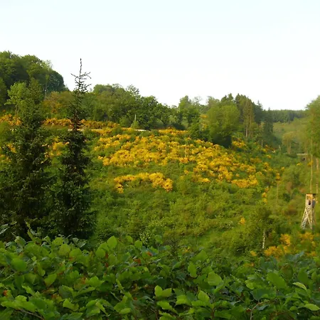 Апартаменты Flat In With Garden *