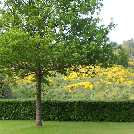 Flat In With Garden *