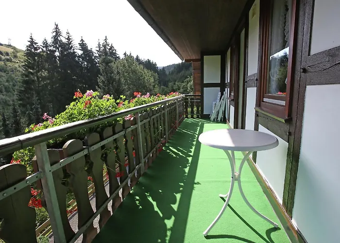 Flat In With Garden Schmallenberg