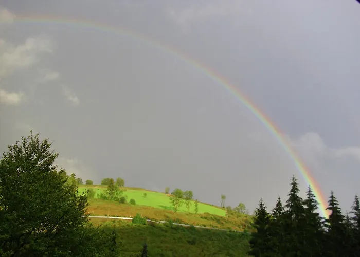 Flat In With Garden Appartement