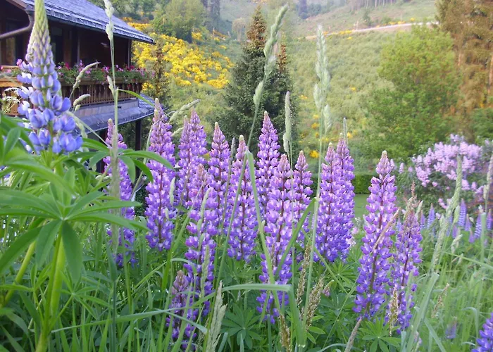 Flat In With Garden Appartement Schmallenberg