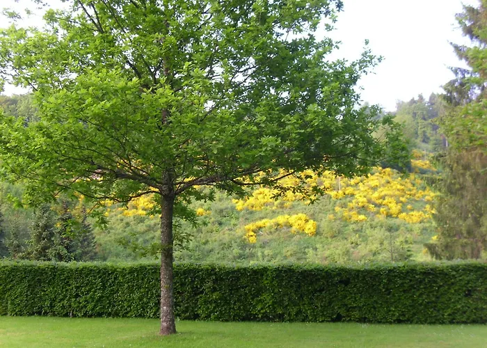 Flat In With Garden *