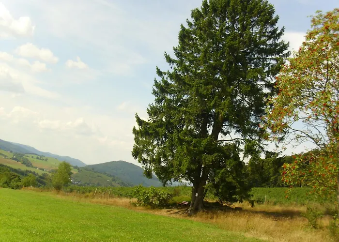 Flat In With Garden Appartement